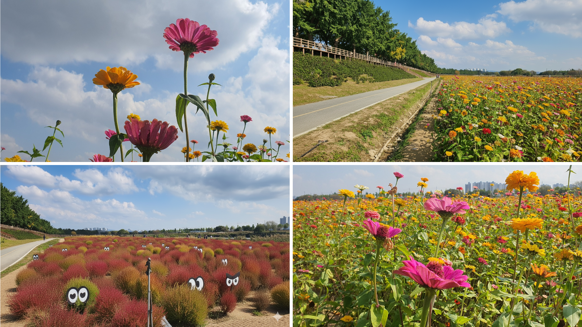🍁 아산 은행나무길의 낭만을 담은 '갤러리 카페 모네 (Monet)' 방문 후기