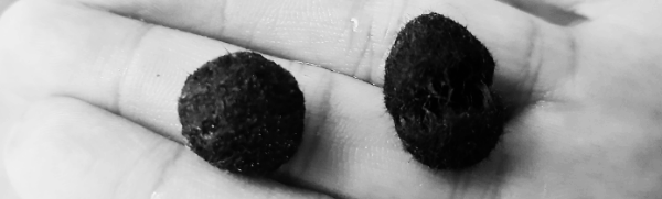 마리모 어항 최적 온도: 20~23도