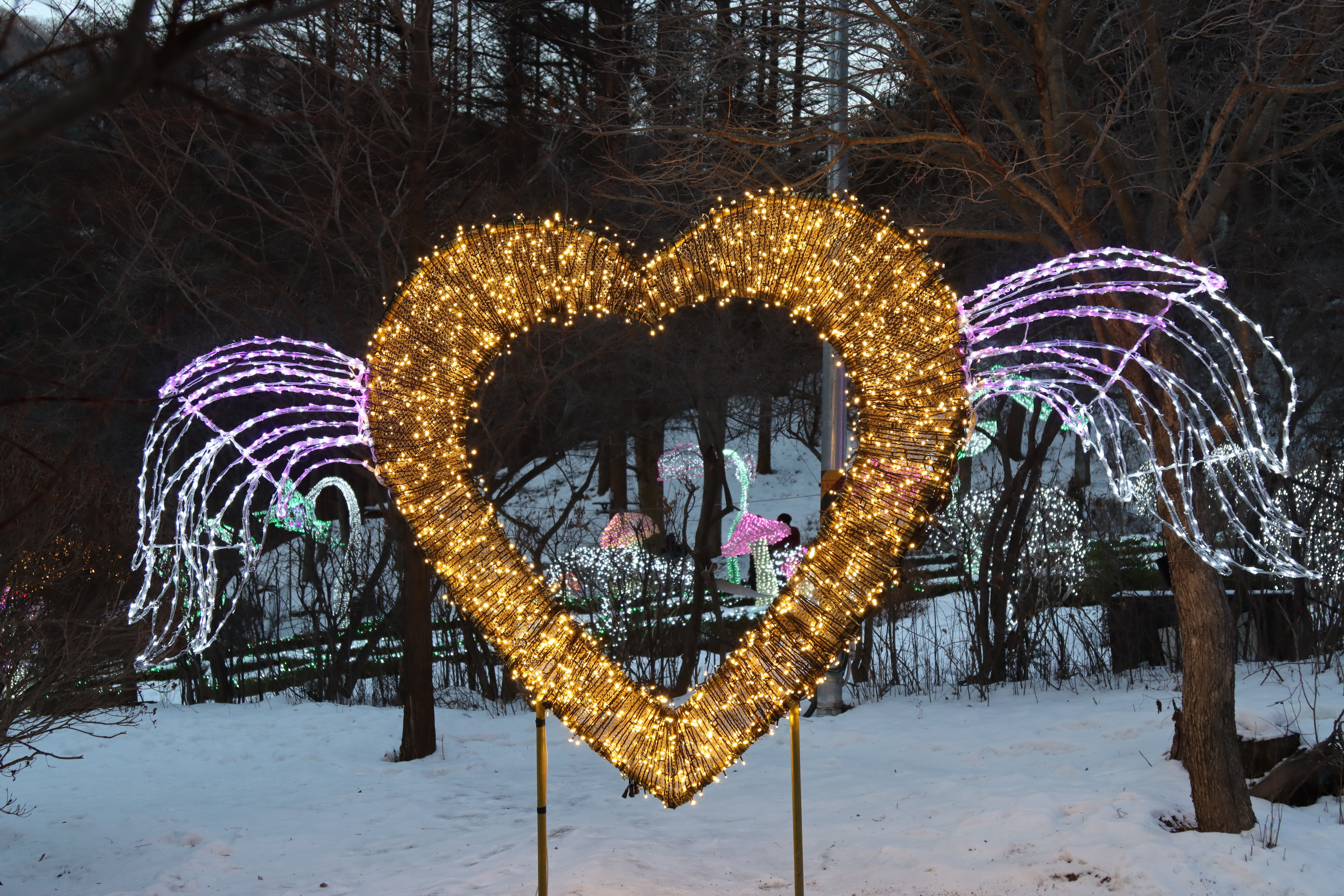 아침고요수목원