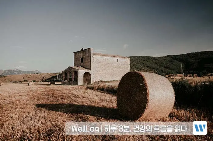 파로 효소 효능, 카무트 효소 효능