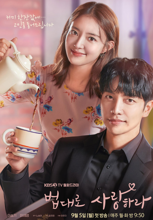 법대로 사랑하라 포스터