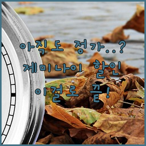 매달 나가는 구독료가 부담된다면 제미..