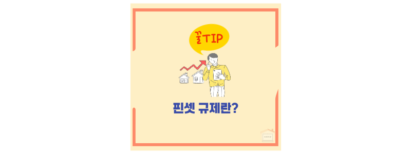 핀셋규제뜻