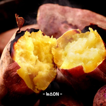 수능 전날 저녁식사