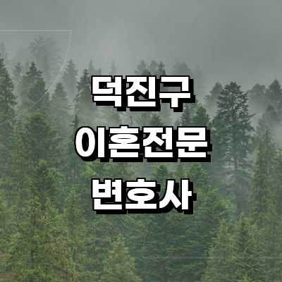 전주 덕진구 이혼 변호사