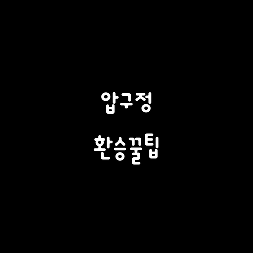 압구정역 현대백화점과 로데오거리 빠른..