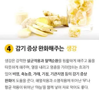 감기에 좋은 음식 5가지 자연에서 찾은 면역력 보약 건강식품_16