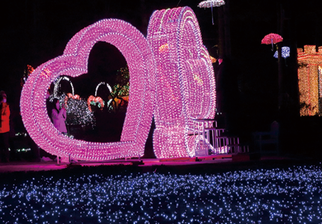 아침고요수목원 오색별빛정원전