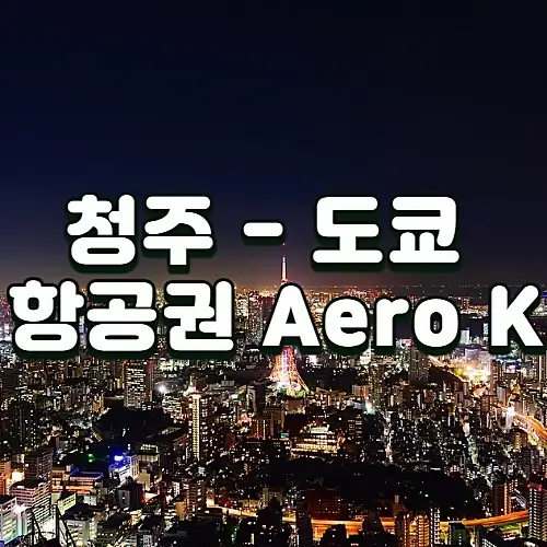 청주에서-도쿄-항공권-스케줄-가격-체크인-알아보기