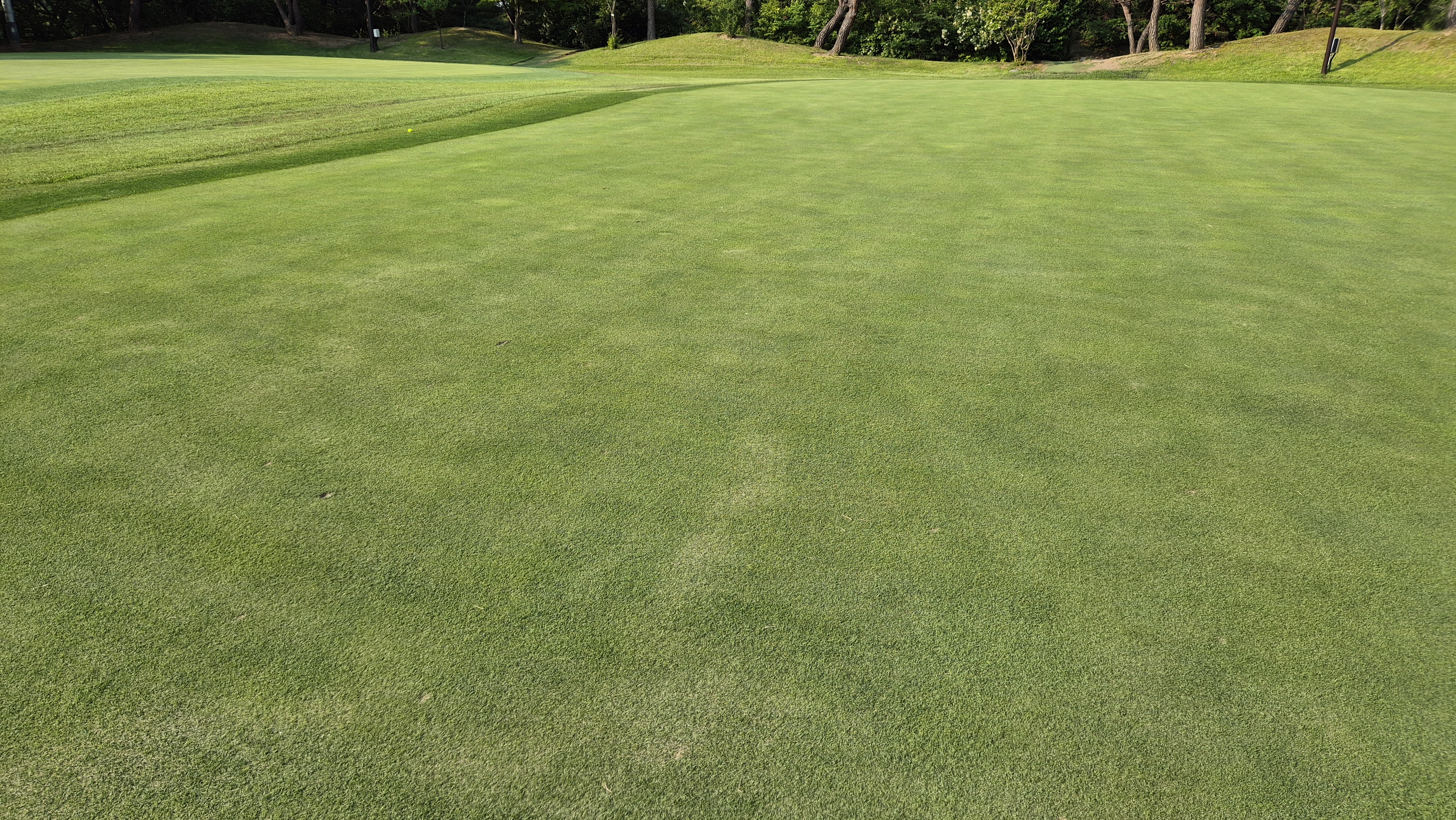 이포cc 라운드 후기