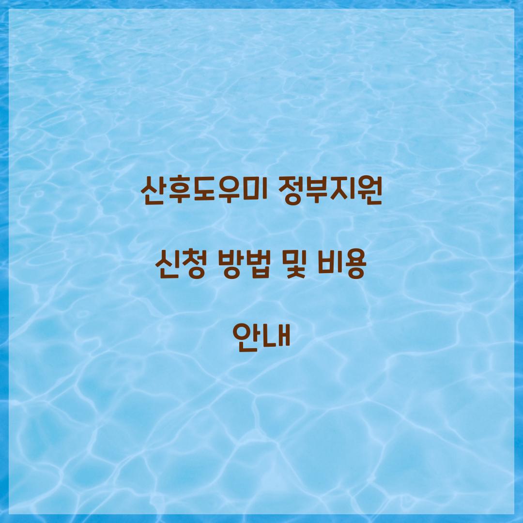 산후도우미 정부지원