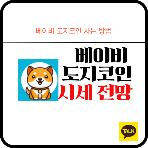 베이비 도지코인 시세 전망