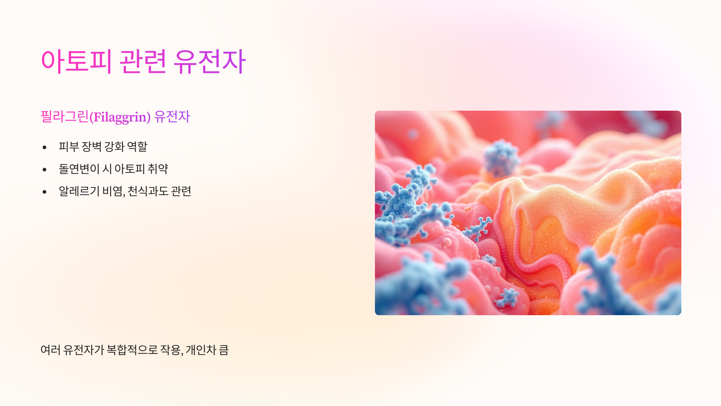 아토피 관련유전자