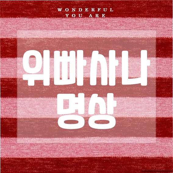 위빠사나 명상 완벽 가이드: 마음챙김에서 깨달음까지