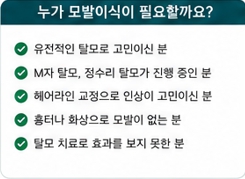 원형탈모이미지