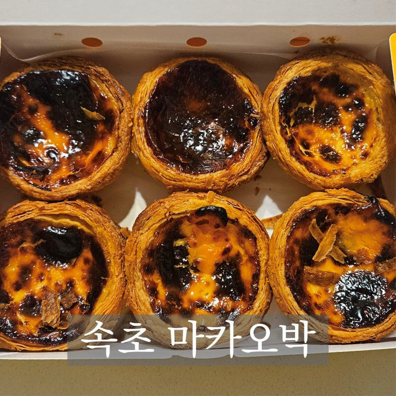 속초 중앙시장 맛집 가이드