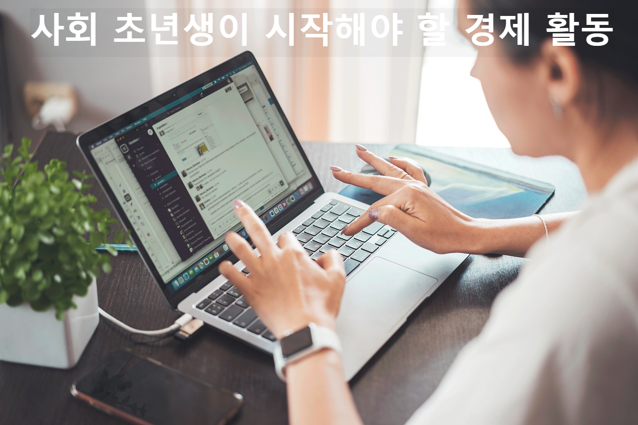 사회 초년생