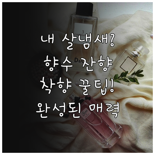 피부 착향으로 확인하는 나만의 향수 ..