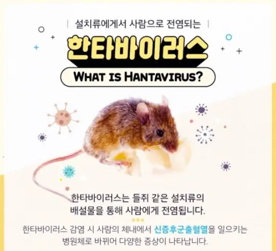 한타바이러스
