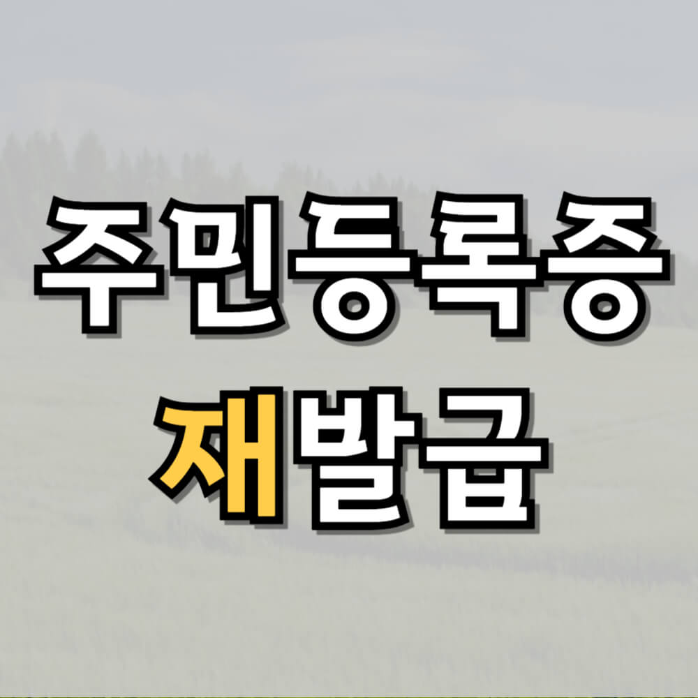 주민등록증 재발급