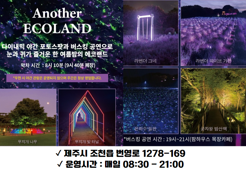 제주 에코랜드 테마파크 - 야간 제주 가볼만한 곳