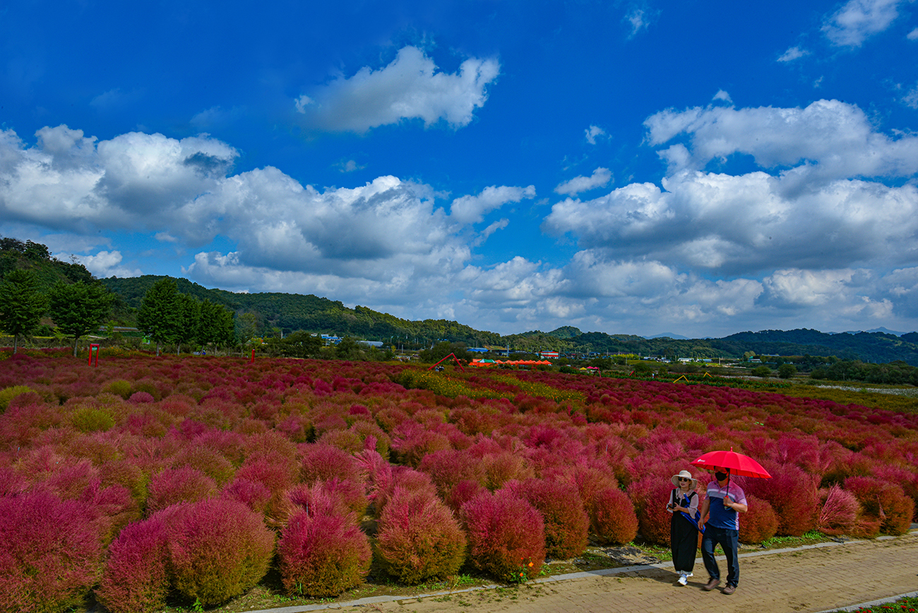 연천 가볼만한곳