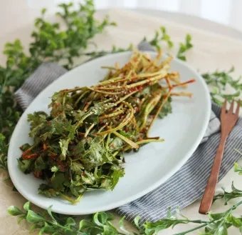 고수 나물 요리 재배 먹는법 무침 김치 만드는 법_16