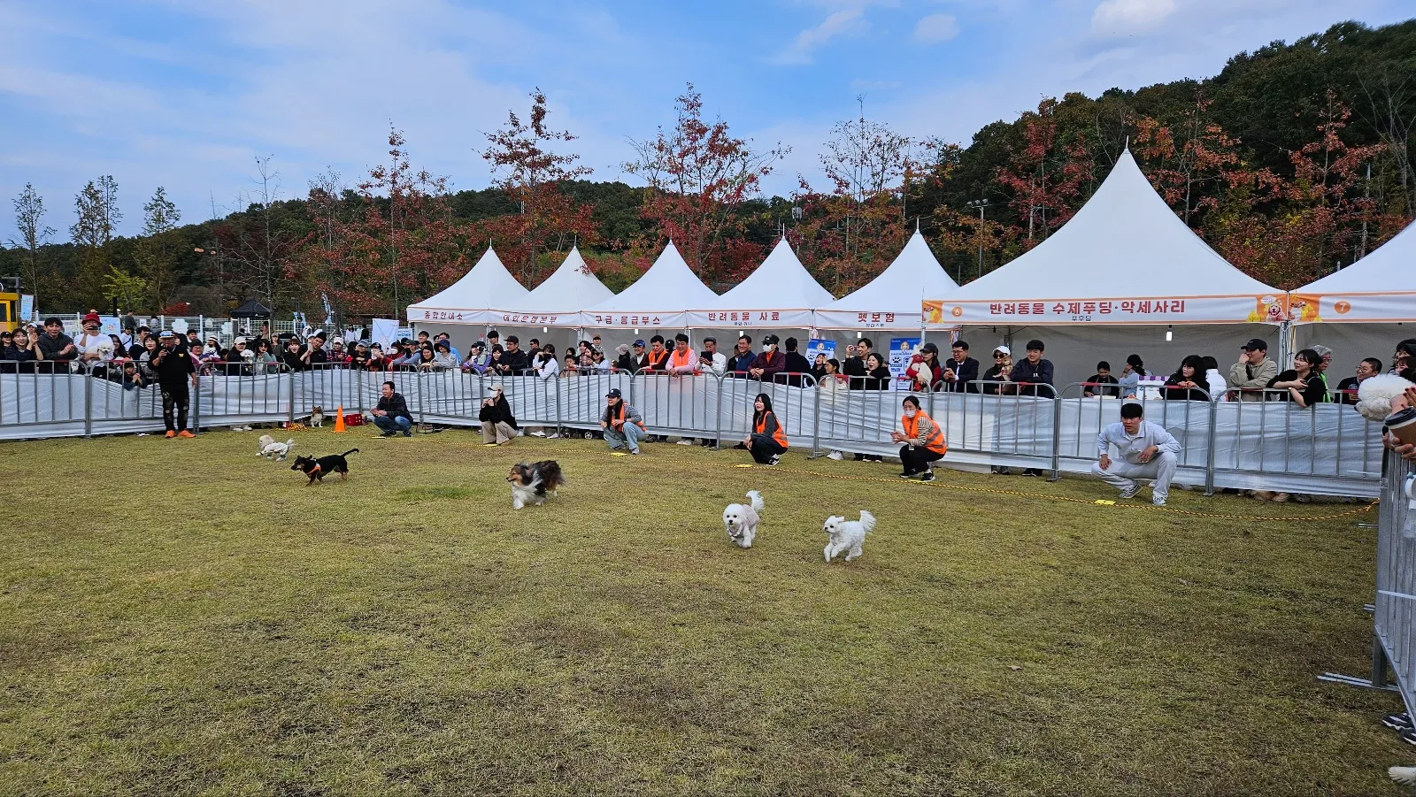 대전 반려동물 건강 한마당