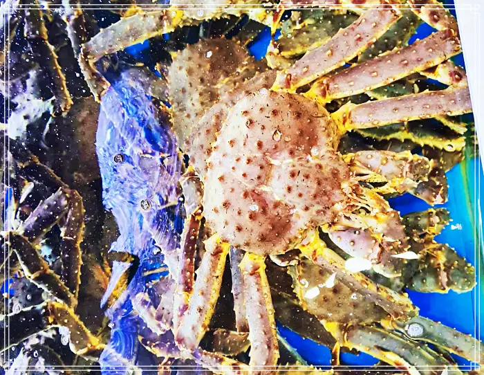 생생정보 마당 안산 한대앞 킹크랩 맛집