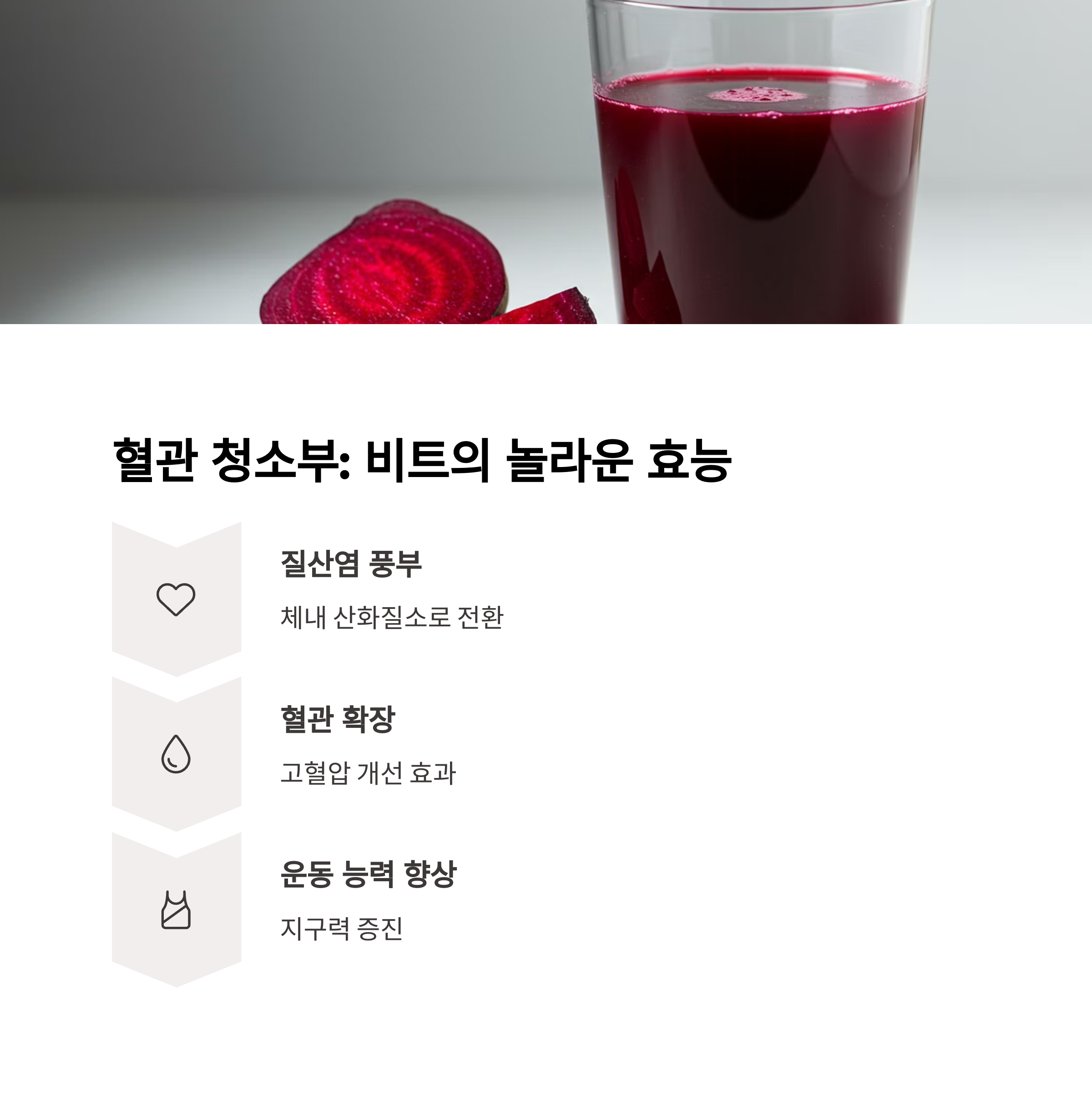 비트: 혈관 청소부의 진짜 정체
