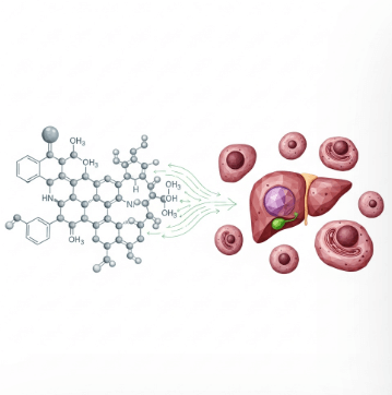간 영양제 추천 밀크씨슬 선택법6