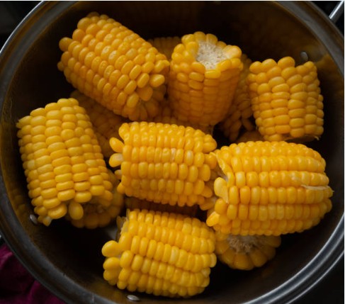 압력솥에서 옥수수 삶는 방법