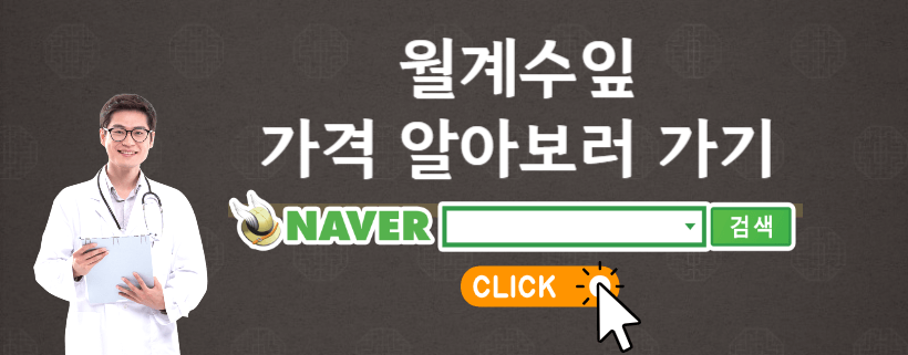 월계수잎효능