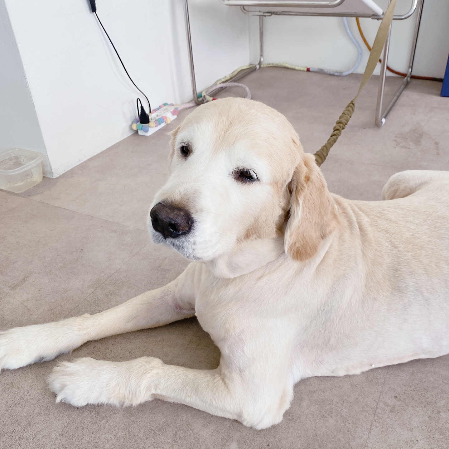 제주 정실마을 민오름 브런치 카페 마트리모니오 matrimonio