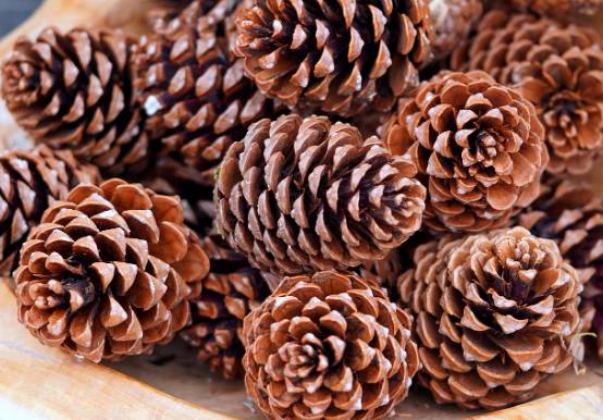 장마철 실내 습기 제거 꿀팁 총정리|곰팡이·냄새 없이 쾌적한 여름나기