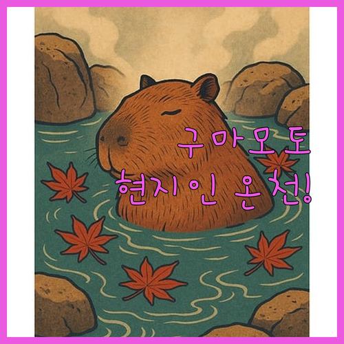 일본 큐슈 힐링 여행 구마모토 현지인..