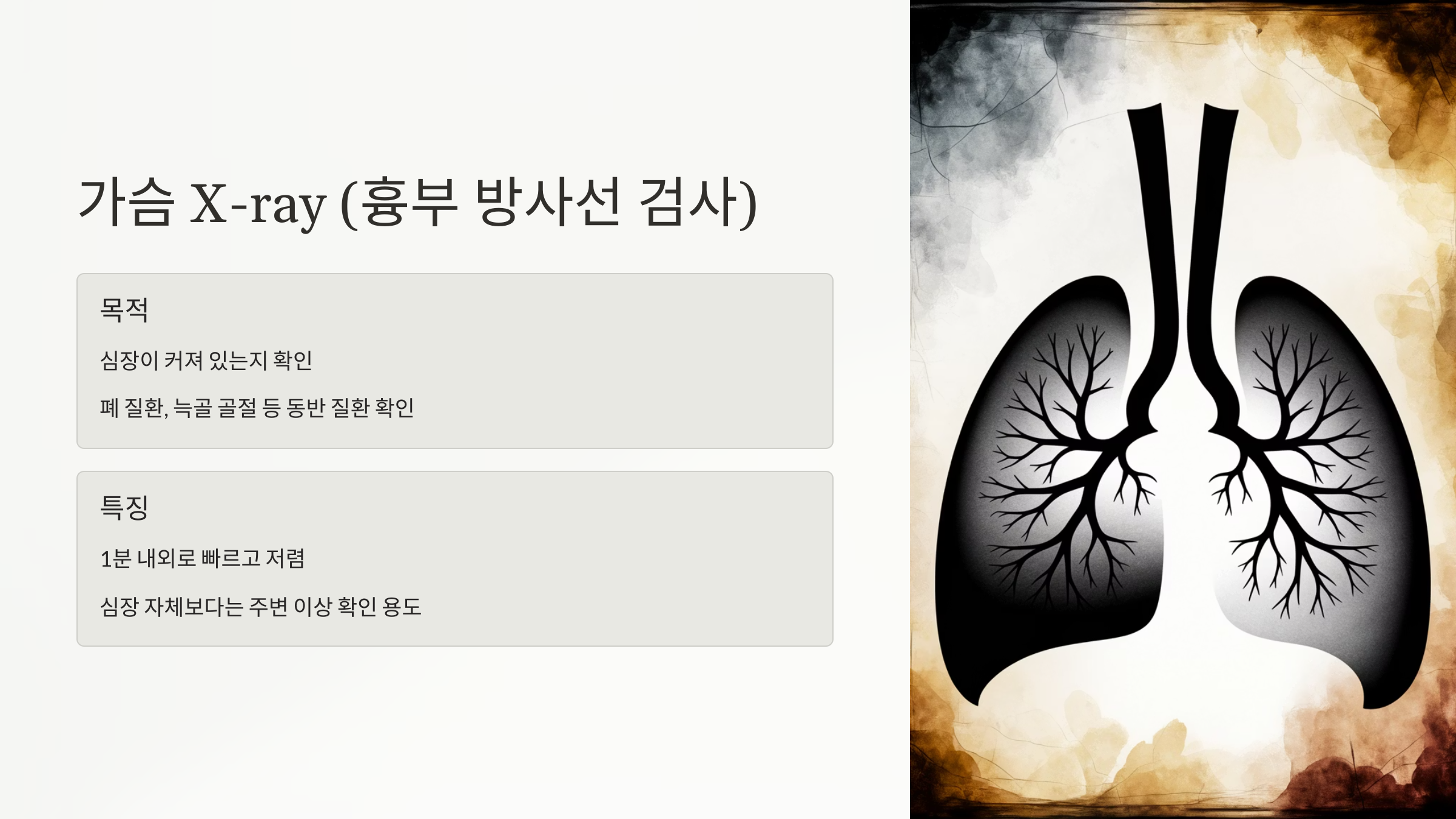 가슴 X-ray (흉부 방사선 검사) 설명