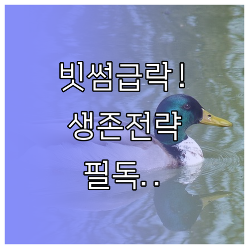 가상자산 시장 변동성 대응법과 빗썸 ..