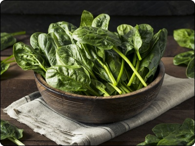 글루타치온 많이든 음식