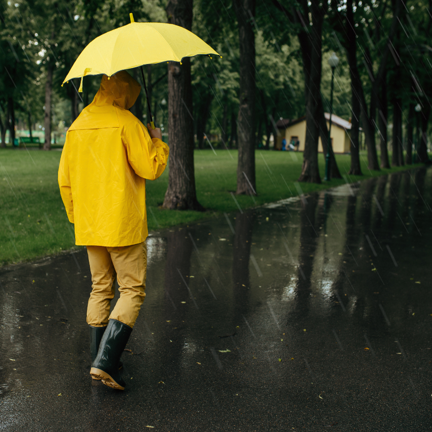 2024년 장마 기간 예측_1