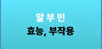 알부민의 효능_19