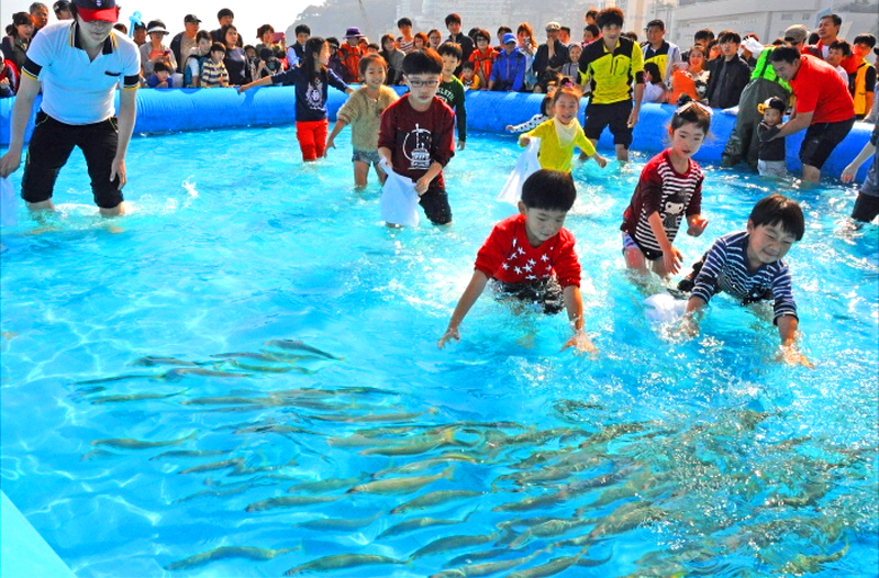 부산 고등어축제