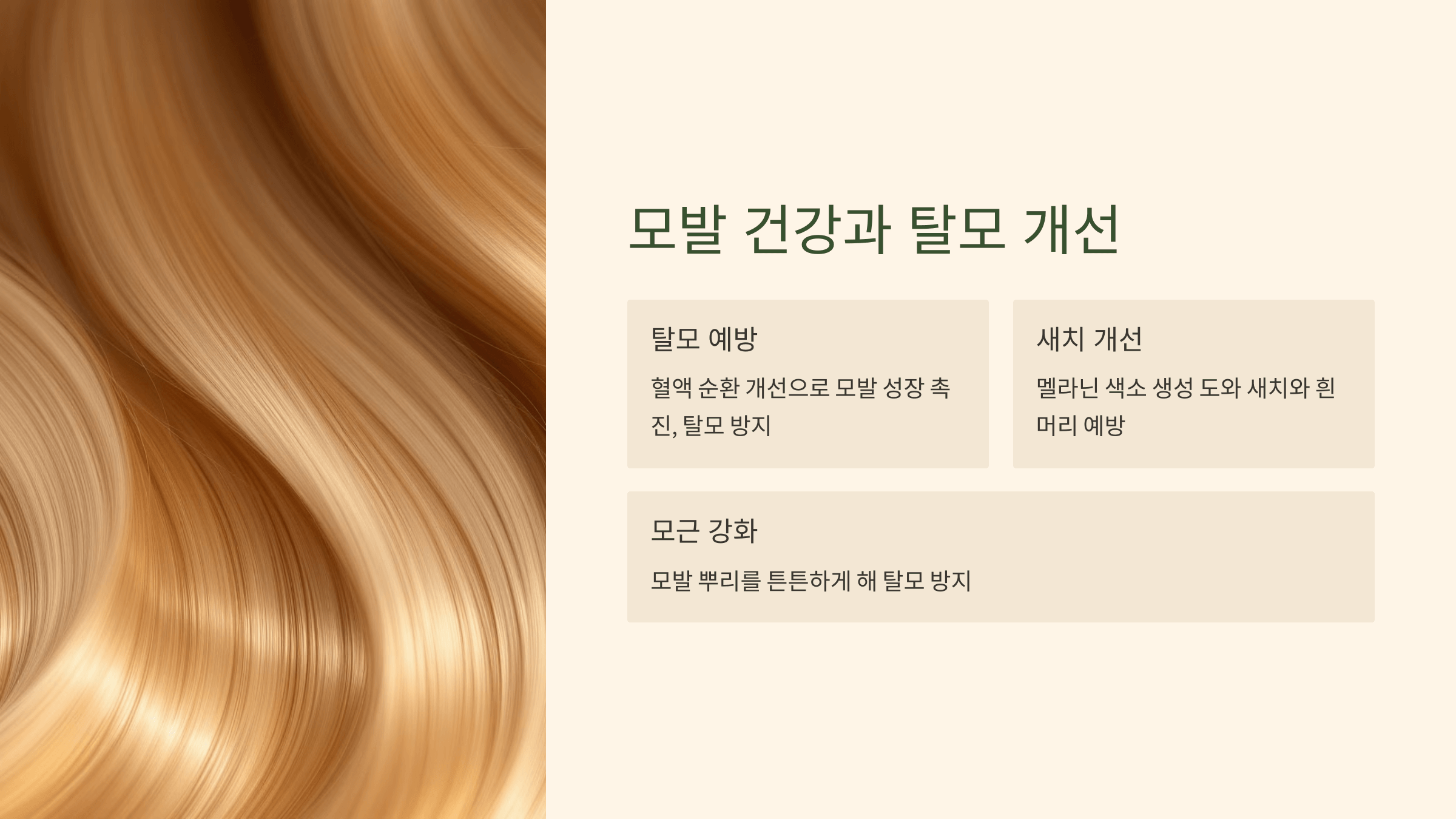 하수오 사진입니다.