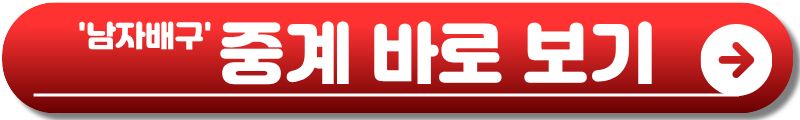 남자배구 일정