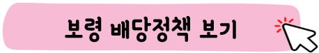 보령 배당 정책