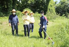 벌초대행 가격비교