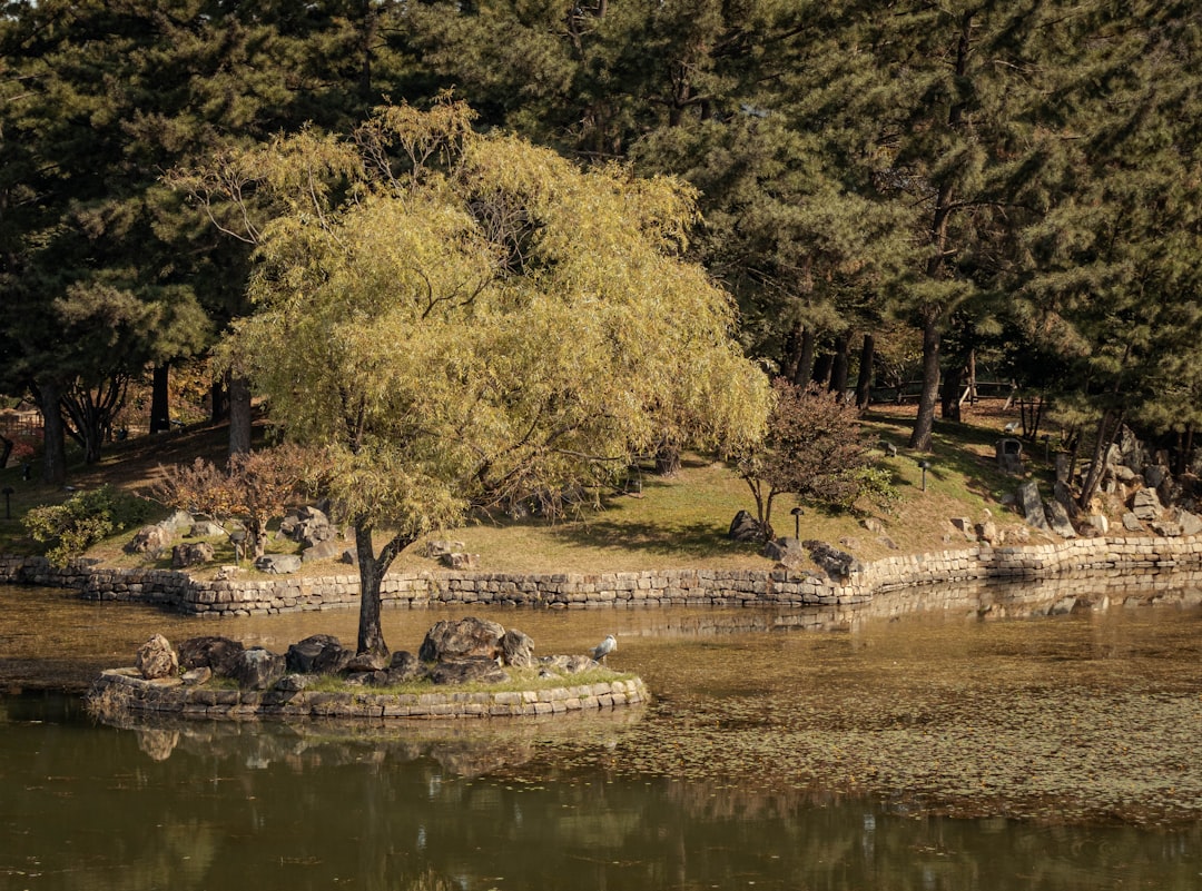 Gyeongju