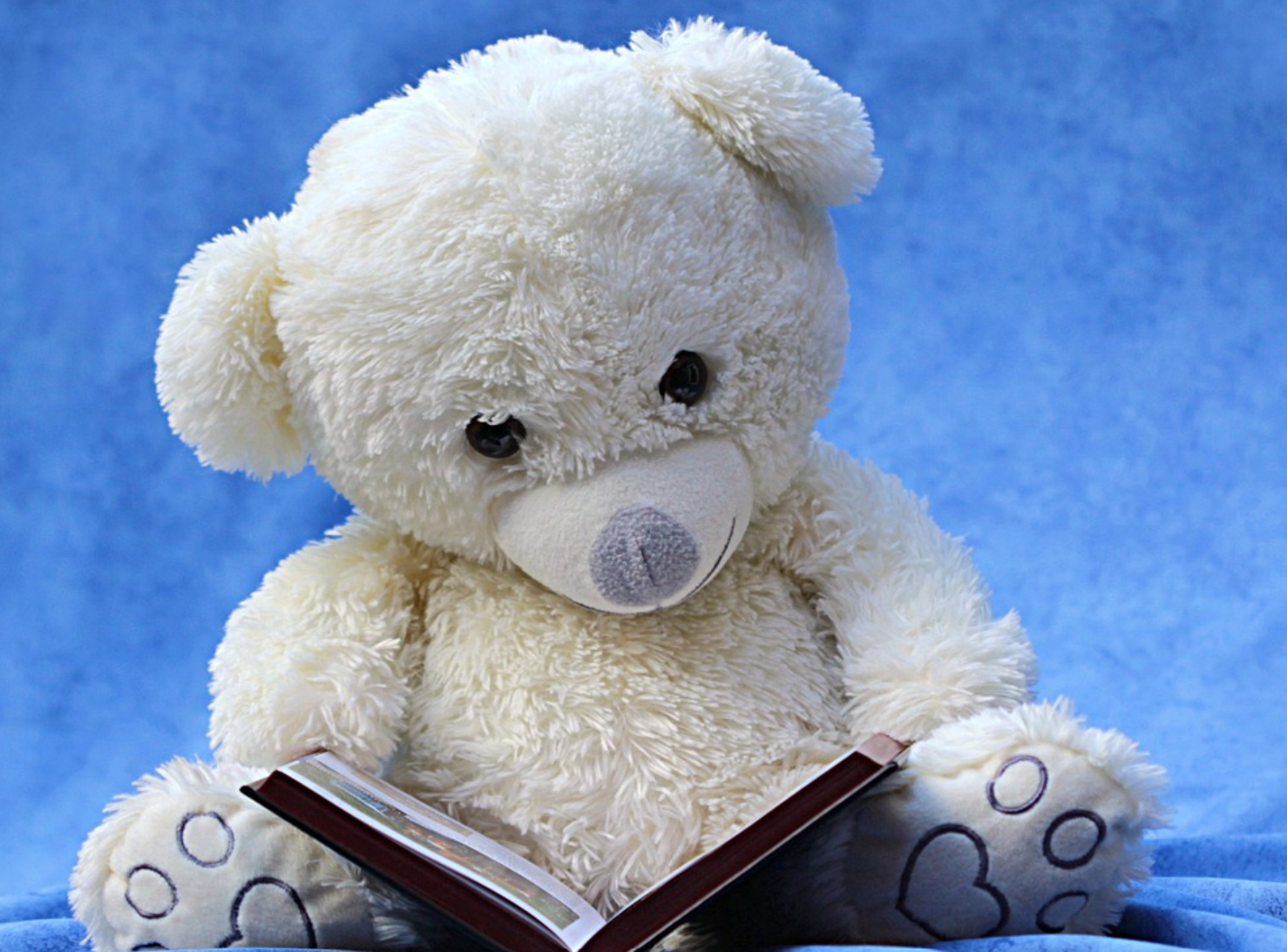 책보는 곰인형 사진