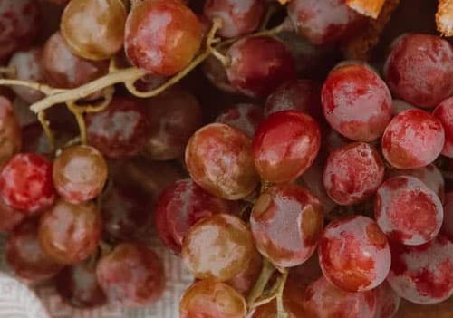 신장에 좋은 음식 적포도