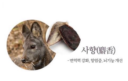 공진단 효능 사향